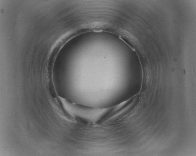 X0000070420392200606231858