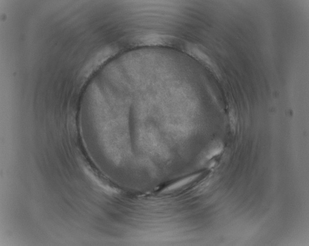 X0000070420394200606231858