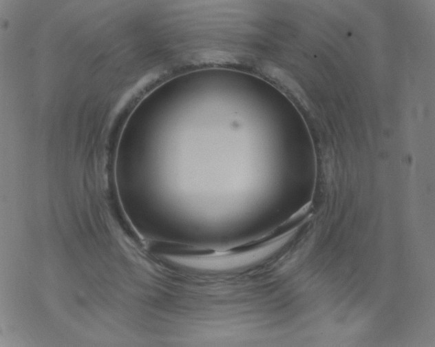 X0000070420395200606231858