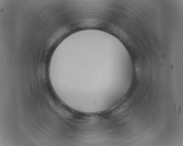 X0000070420396200606231858