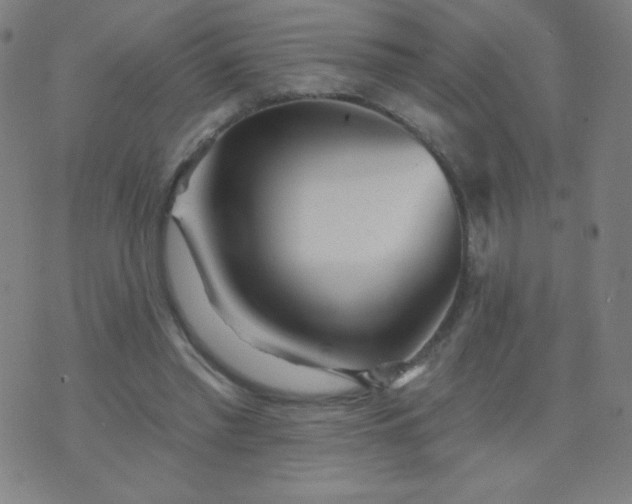 X0000070420397200606231858