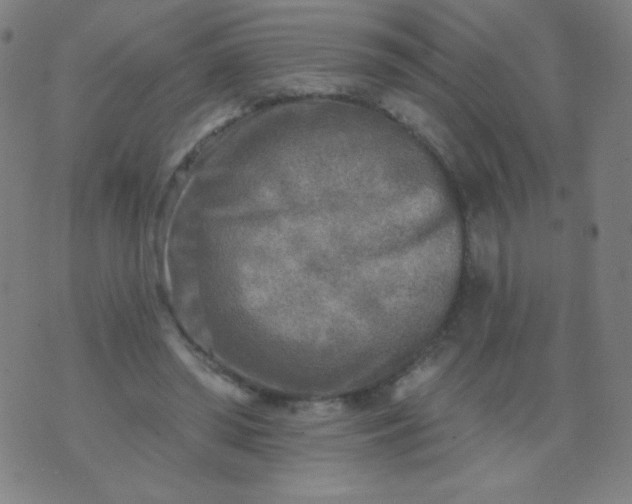 X0000070420398200606231858