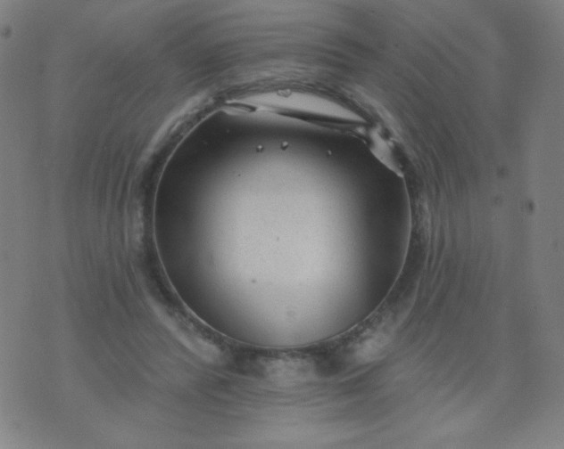 X0000070420400200606231858