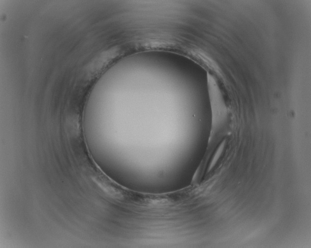 X0000070420401200606231858