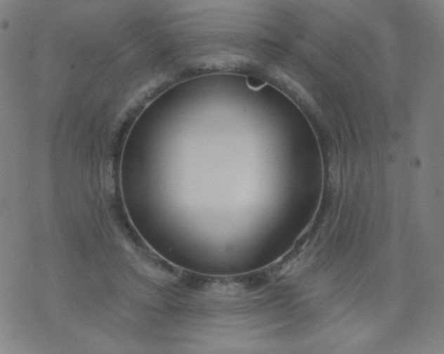 X0000070420403200606231858