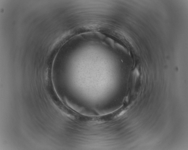 X0000070420404200606231858