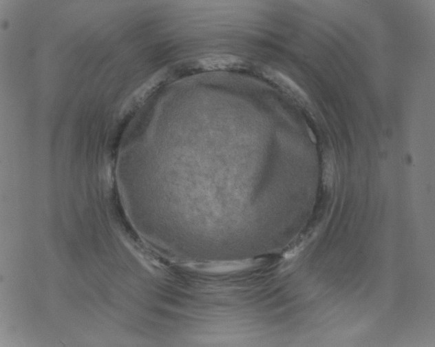 X0000070420405200606231858