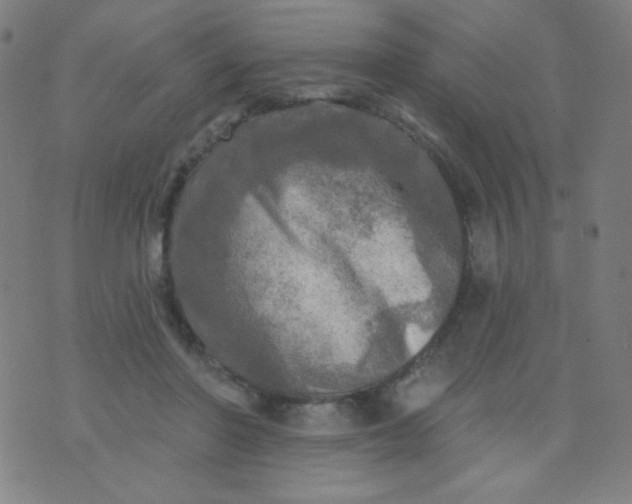 X0000070420406200606231858