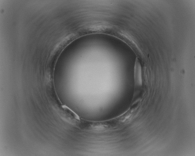 X0000070420407200606231858