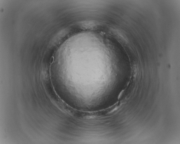 X0000070420408200606231858