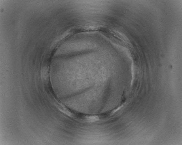 X0000070420409200606231858