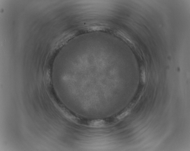 X0000070420410200606231858