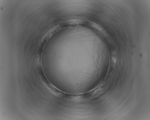 X0000070420411200606231858