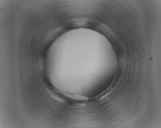 X0000070420412200606231858