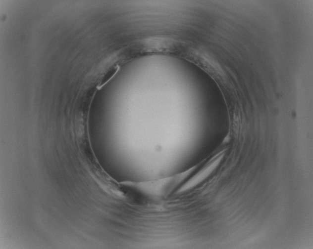 X0000070420413200606231858