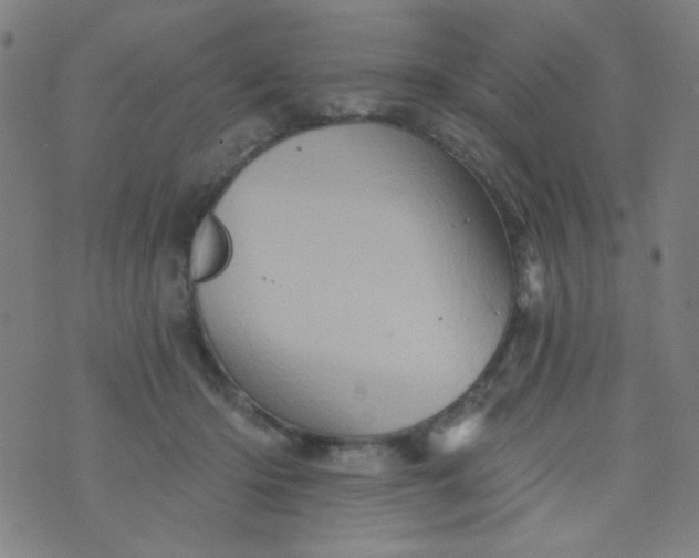 X0000070420414200606231858