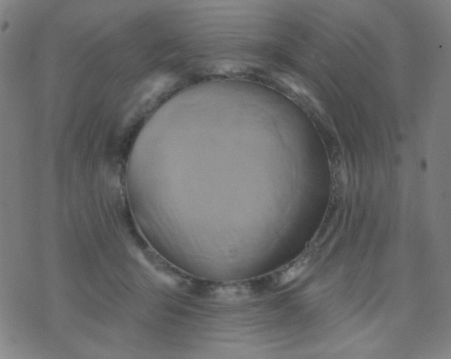 X0000070420415200606231858