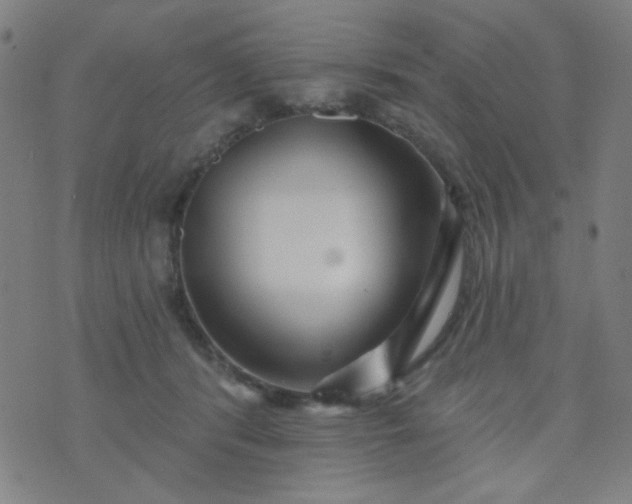 X0000070420416200606231858