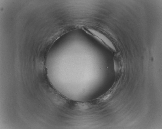 X0000070420417200606231858