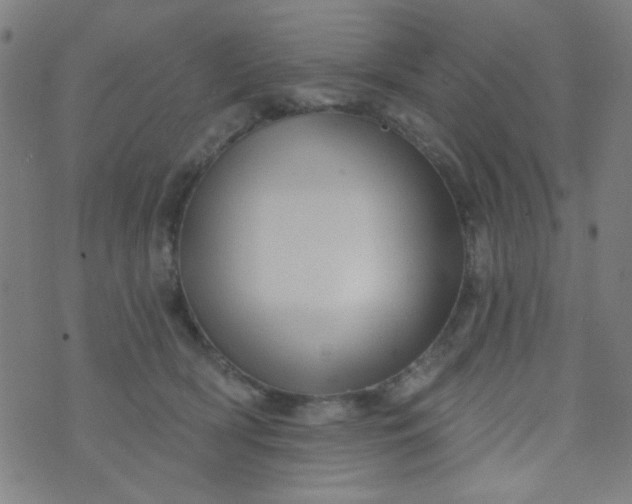 X0000070420418200606231858