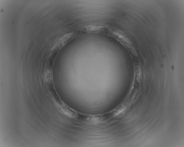 X0000070420419200606231858