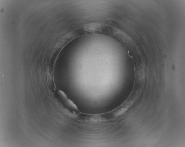 X0000070420420200606231858