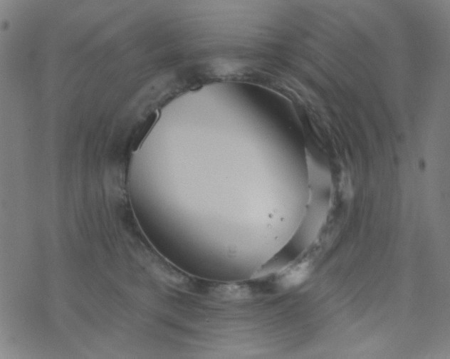 X0000070420421200606231858