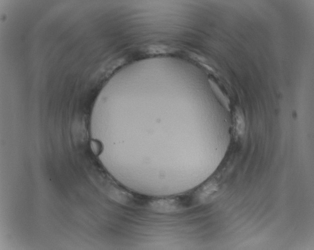 X0000070420422200606231858