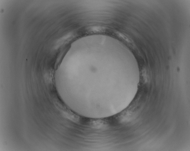 X0000070420423200606231858