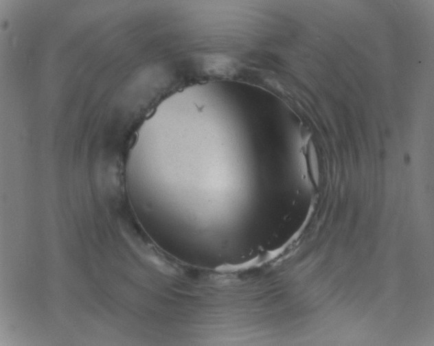 X0000070420424200606231858