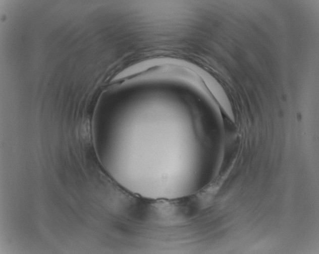 X0000070420425200606231858