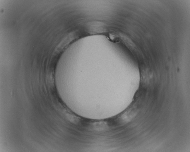 X0000070420426200606231858