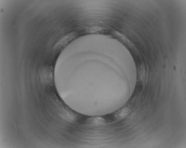 X0000070420427200606231858