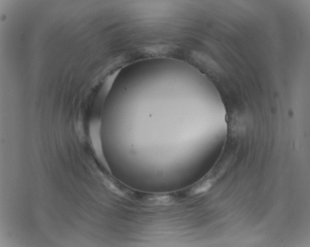 X0000070420428200606231858