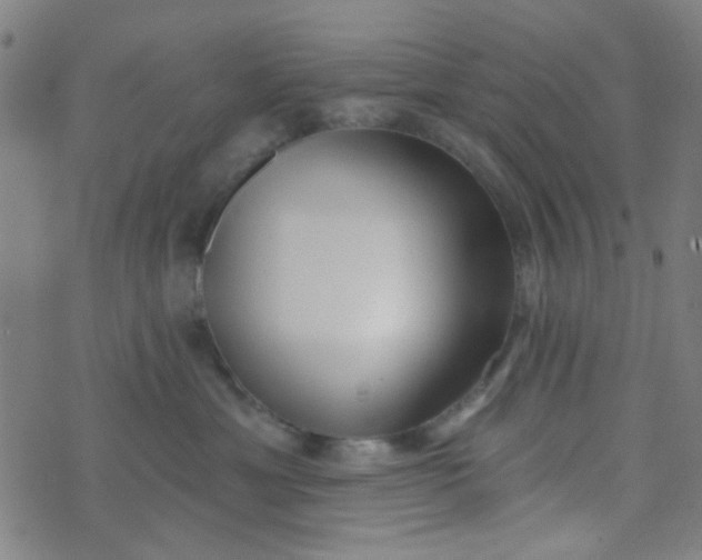 X0000070420429200606231857