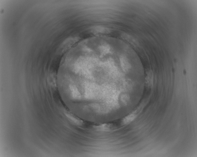 X0000070420430200606231857