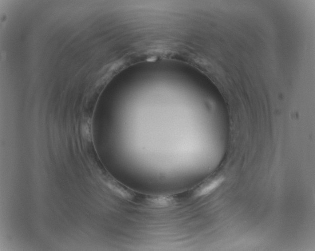 X0000070420432200606231857