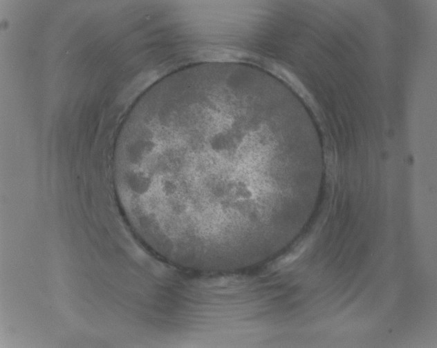 X0000070420433200606231857