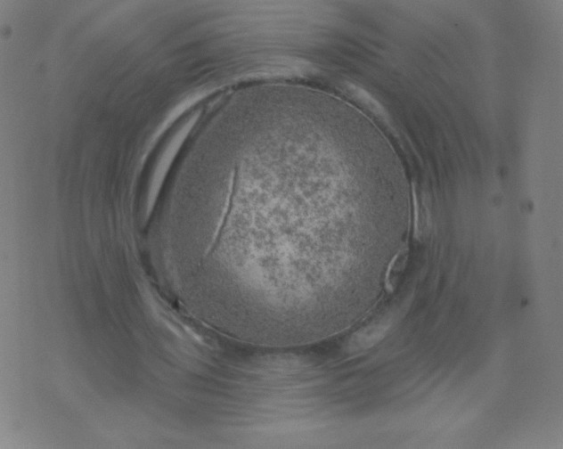 X0000070420435200606231857