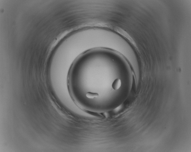 X0000070420436200606231857