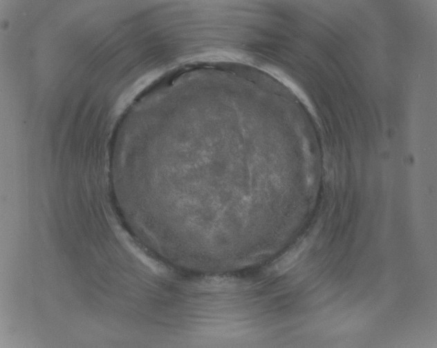 X0000070420437200606231857