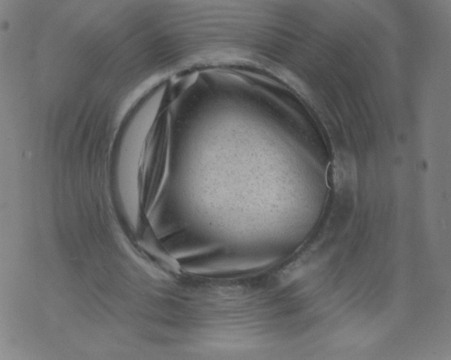 X0000070420438200606231857