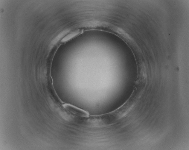 X0000070420440200606231857