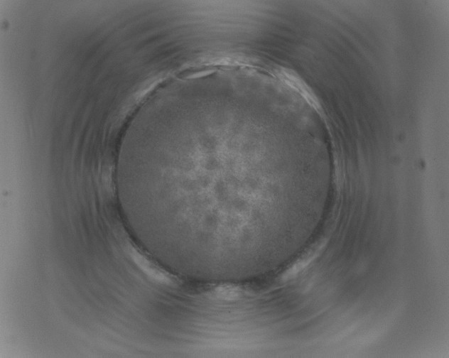 X0000070420441200606231857