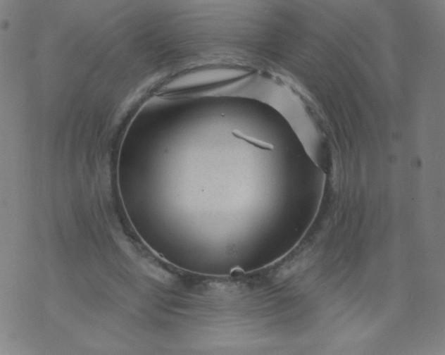 X0000070420442200606231857