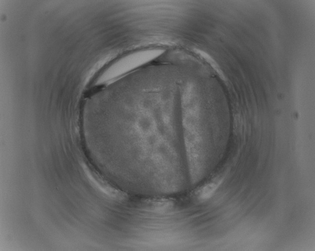 X0000070420443200606231857