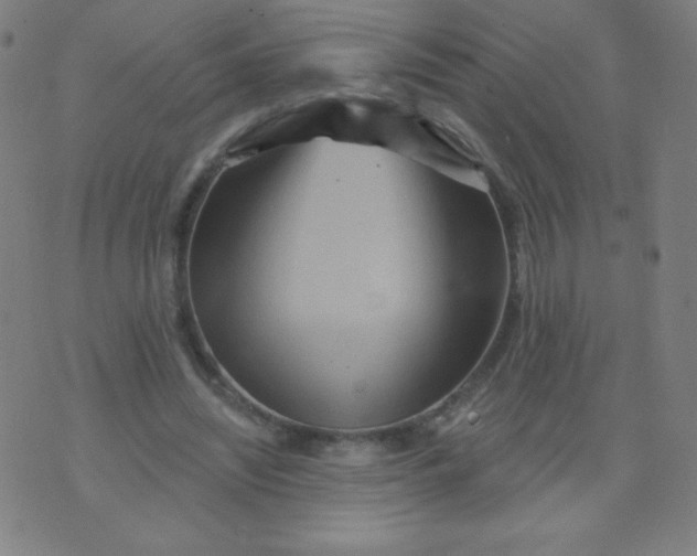 X0000070420444200606231857