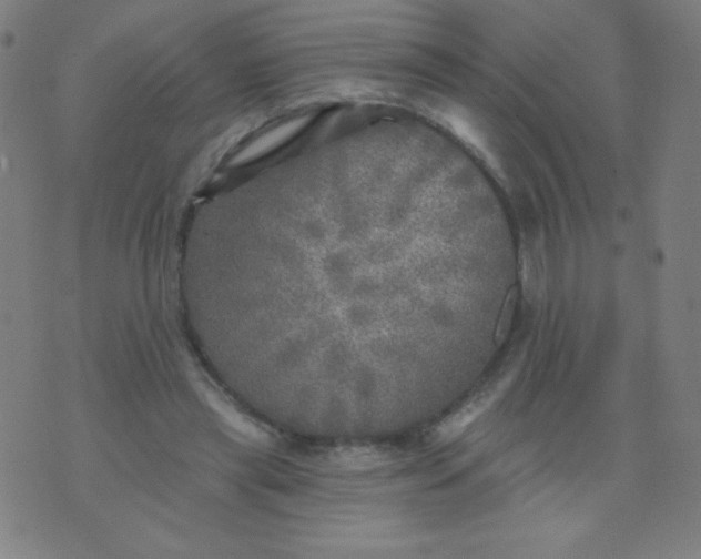 X0000070420445200606231857