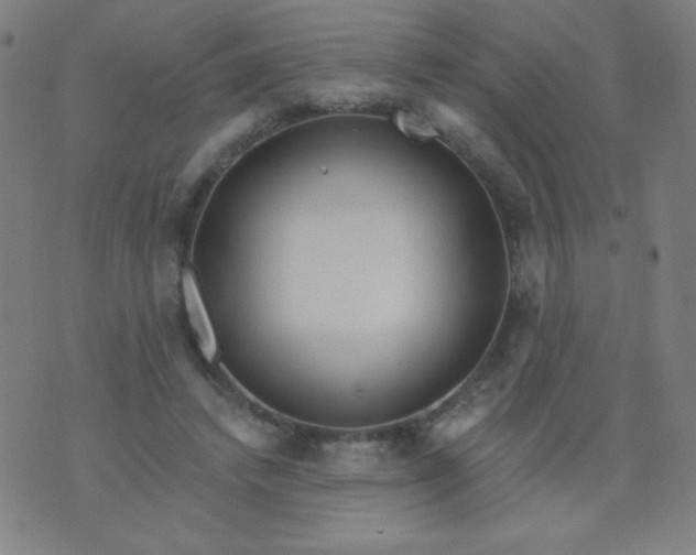 X0000070420448200606231857