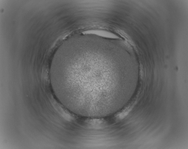 X0000070420449200606231857